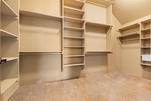 18395 Wild Horse Trl, Norman, OK 73072 - walk in closet with carpet floors