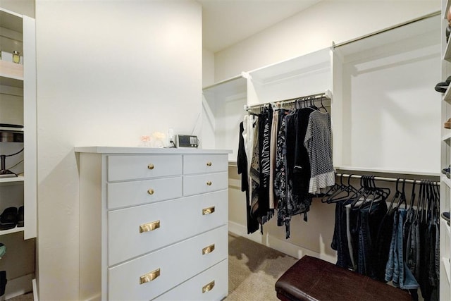 spacious closet with carpet