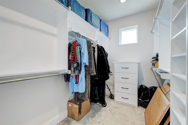 walk in closet with light colored carpet
