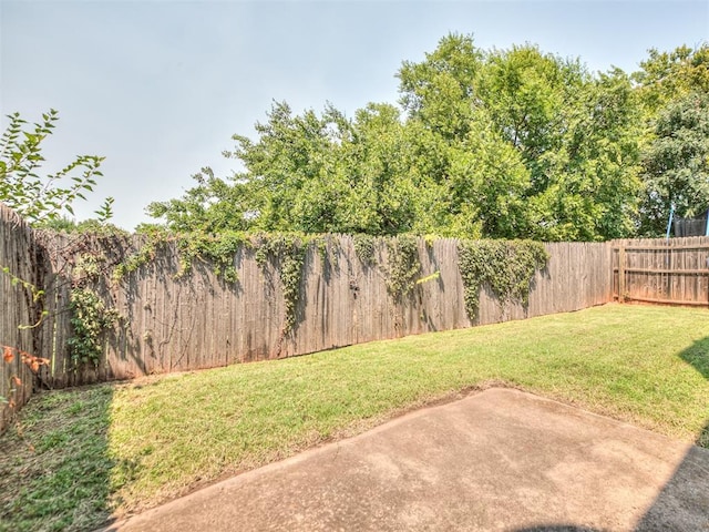 view of yard with a fenced backyard and a patio