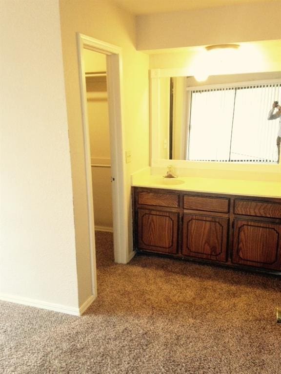 bathroom featuring vanity, baseboards, a walk in closet, and carpet floors