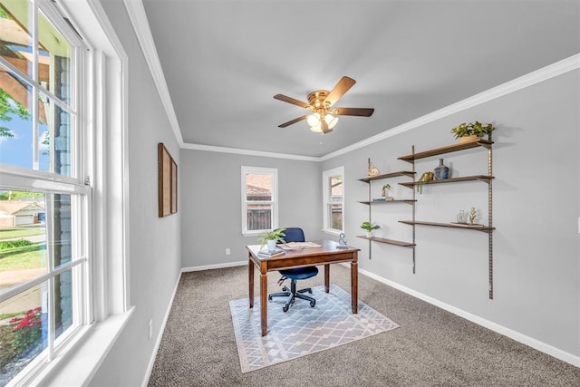 2736 Pembroke Ter, Oklahoma City, OK 73116 - carpeted office space featuring baseboards, a ceiling fan, and crown molding