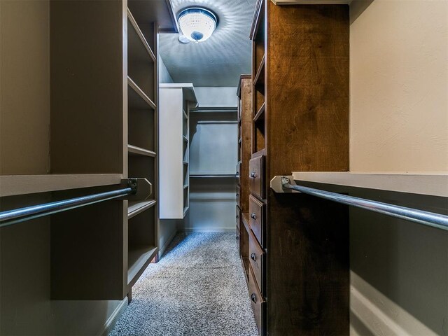 307 Horizon View Ct, Norman, OK 73071 - photo 17