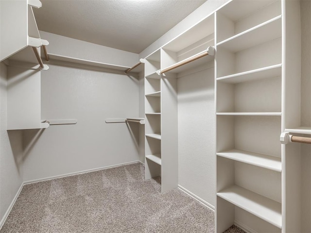 walk in closet featuring carpet floors