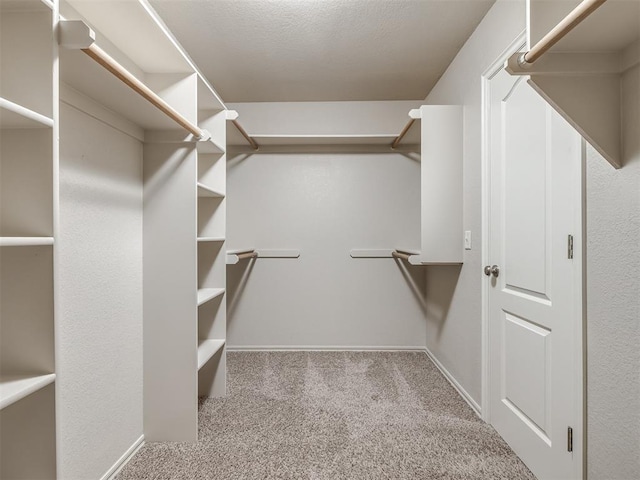 spacious closet featuring carpet floors