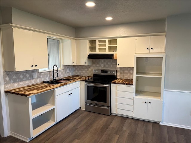 kitchen with under cabinet range hood, open shelves, a sink, wood counters, and stainless steel range with electric stovetop