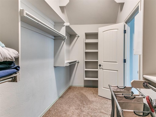 walk in closet with carpet floors