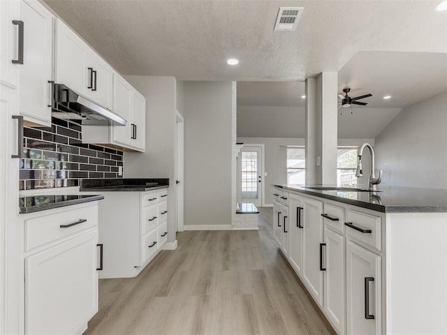 kitchen with light wood-style floors, visible vents, under cabinet range hood, a sink, and decorative backsplash