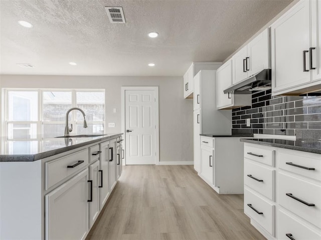 kitchen with light wood-type flooring, a textured ceiling, under cabinet range hood, visible vents, and a sink
