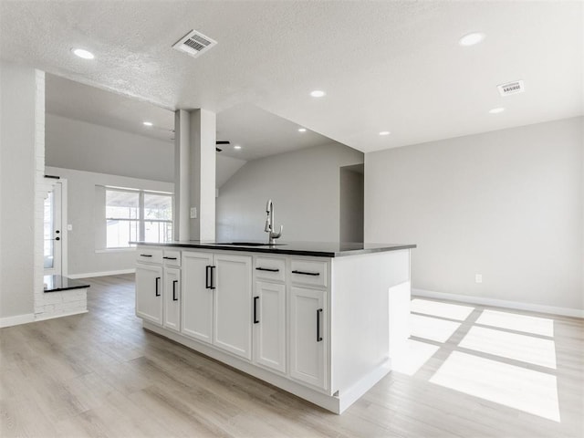 kitchen featuring light wood finished floors, visible vents, and a sink