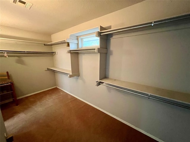spacious closet with carpet flooring and visible vents