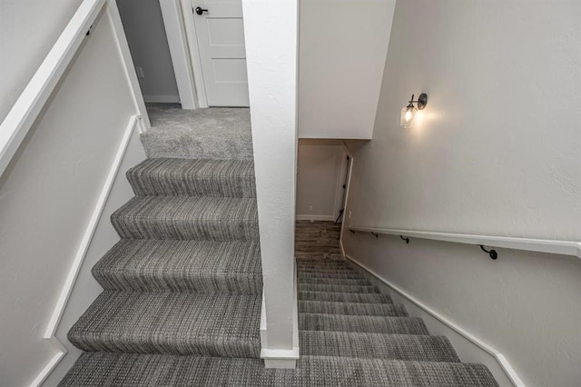 stairway featuring carpet flooring