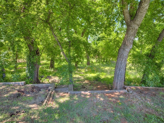 view of local wilderness