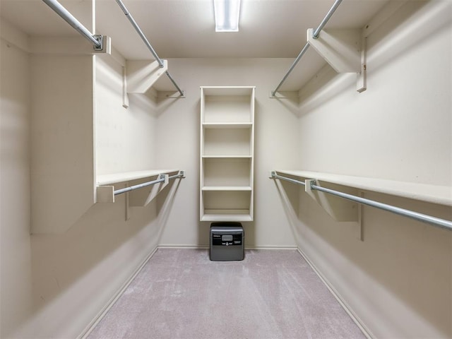 spacious closet featuring carpet flooring