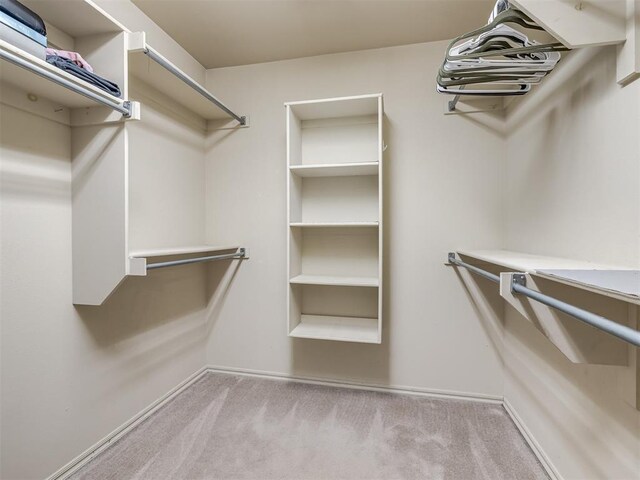 walk in closet with carpet flooring