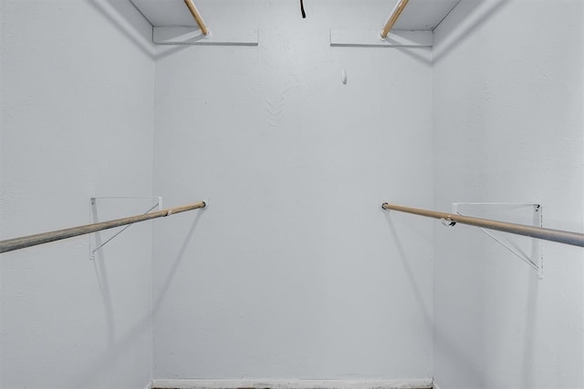 view of walk in closet