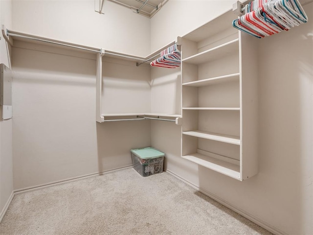 spacious closet featuring carpet floors