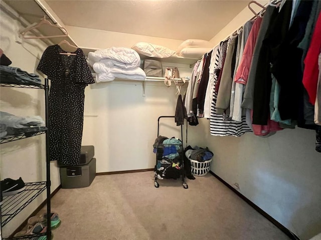 136 Skyline Dr, Chickasha, OK 73018 - walk in closet featuring carpet flooring