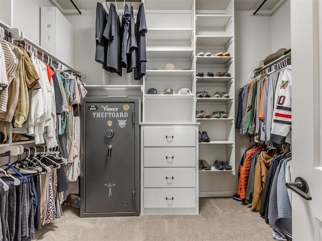 spacious closet featuring carpet flooring
