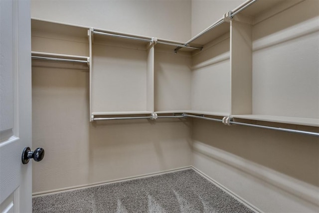 3719 Black Forrest Ct, Newcastle, OK 73065 - walk in closet featuring carpet floors