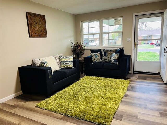 living room with baseboards, wood finished floors, and a healthy amount of sunlight