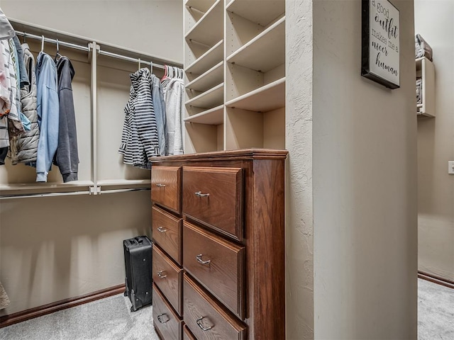 spacious closet with light carpet