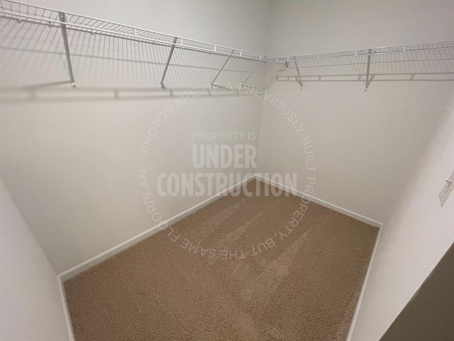 walk in closet featuring carpet floors
