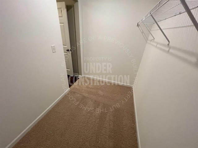 spacious closet with carpet