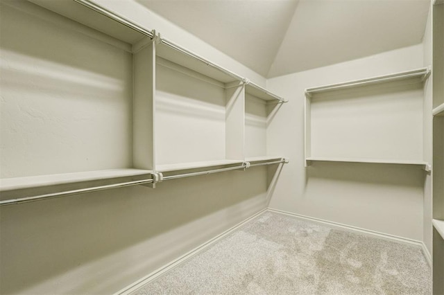 73 Bonaire Dr, Edmond, OK 73013 - walk in closet with carpet