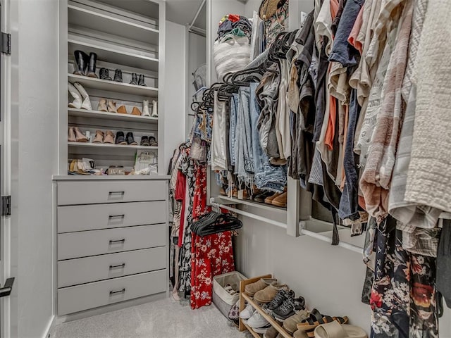 1330 Acclivis Ct, Newcastle, OK 73065 - spacious closet with carpet flooring
