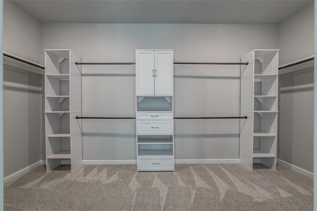 spacious closet featuring carpet flooring