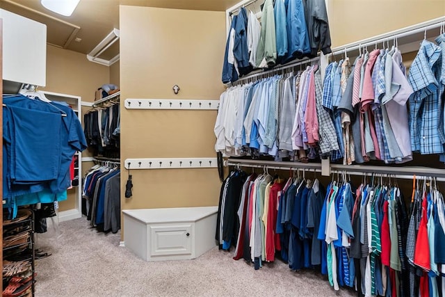 3920 Creek Bank Dr, Edmond, OK 73003 - walk in closet with carpet flooring and attic access