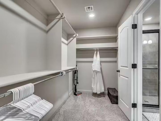 spacious closet with visible vents