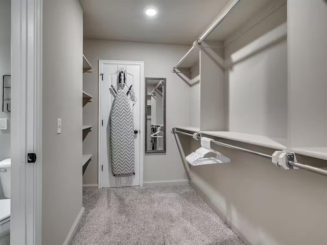 spacious closet with carpet flooring