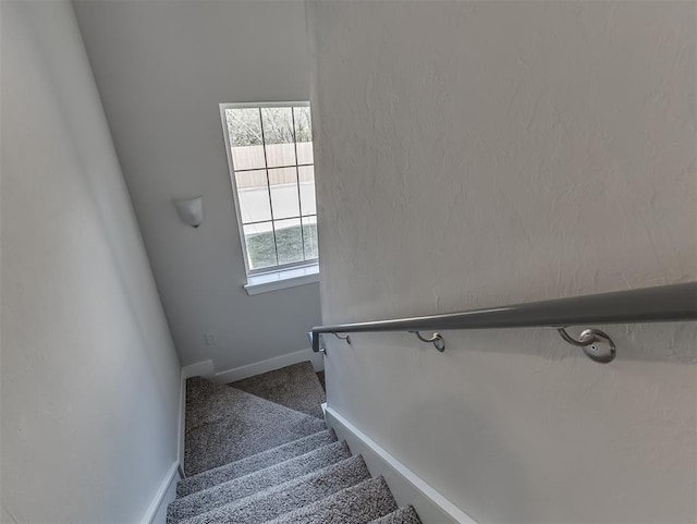 104 Rue De Montserrat, Norman, OK 73071 - staircase with carpet flooring and baseboards