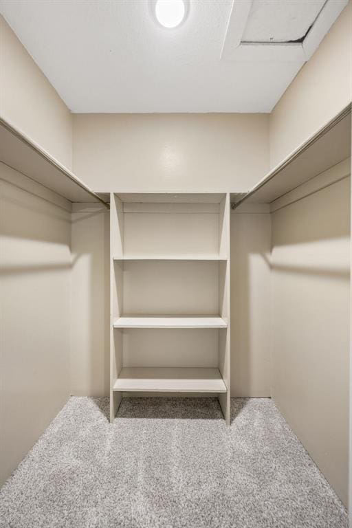 walk in closet featuring carpet floors