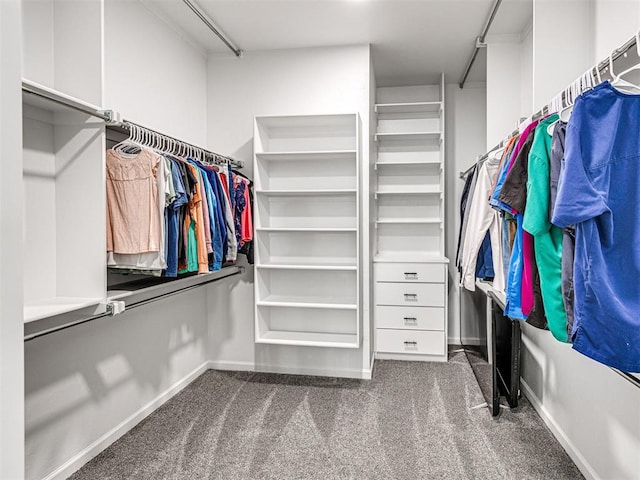 spacious closet featuring carpet floors