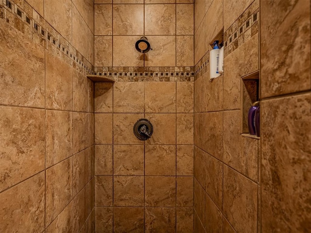 2010 Shady Cv, Sulphur, OK 73086 - interior details featuring tiled shower