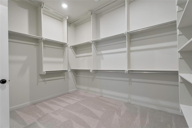 walk in closet with carpet flooring