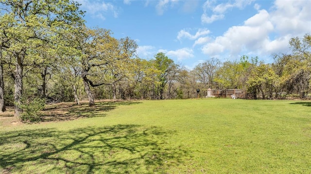 130 Quail Dr, Healdton, OK 73438 - view of yard