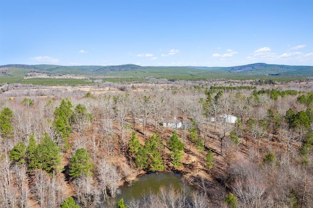 30953 State Hwy Unit 144, Smithville, OK 74957 - bird's eye view featuring a mountain view