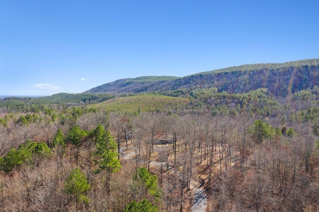 30953 State Hwy Unit 144, Smithville, OK 74957 - mountain view featuring a forest view