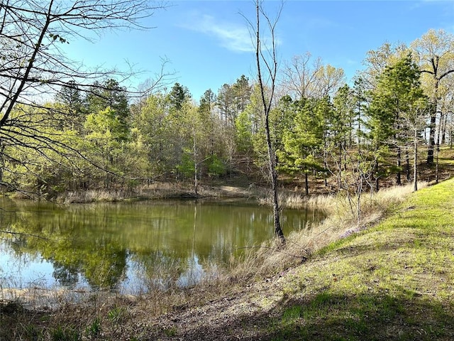 30953 State Hwy Unit 144, Smithville, OK 74957 - view of water feature