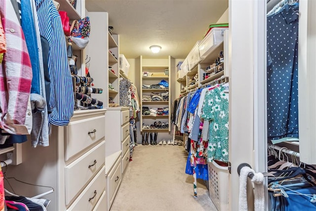 4608 Greystone Ct, Norman, OK 73072 - spacious closet featuring light carpet