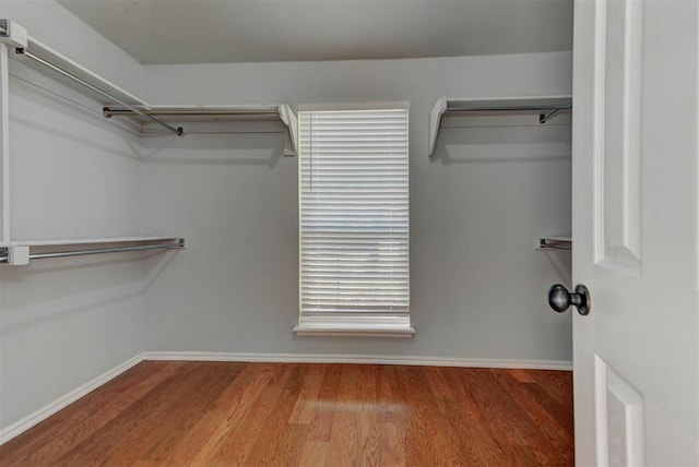 walk in closet with wood finished floors
