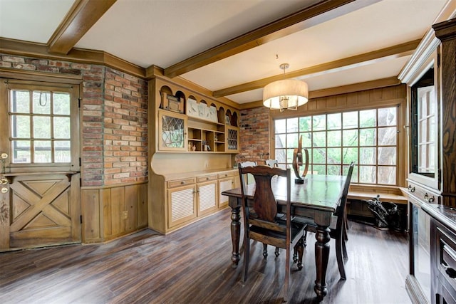 dining space featuring beam ceiling, a wainscoted wall, a wealth of natural light, and dark wood finished floors