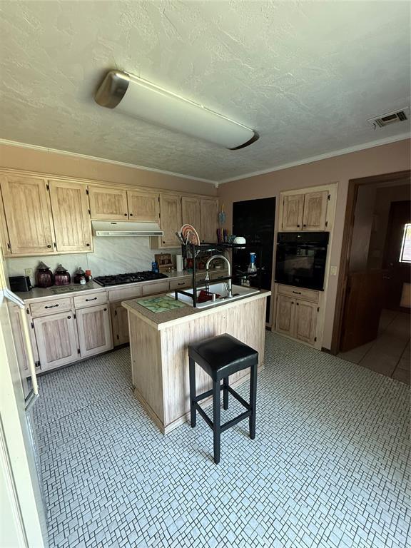 4108 N Broadway Ave, Hinton, OK 73047 - kitchen featuring a sink, under cabinet range hood, light brown cabinets, black appliances, and visible vents