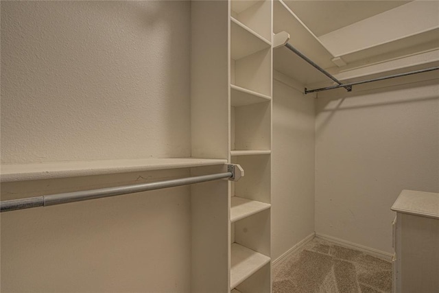 spacious closet with carpet flooring