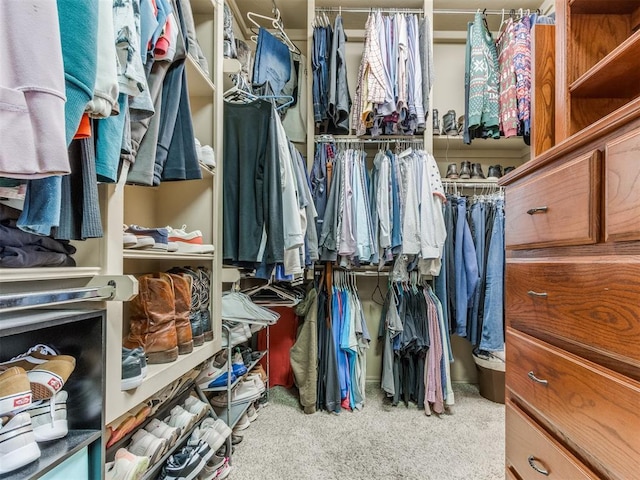 3116 Sycamore Dr, Moore, OK 73160 - walk in closet featuring carpet