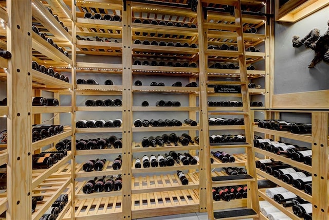 view of wine room